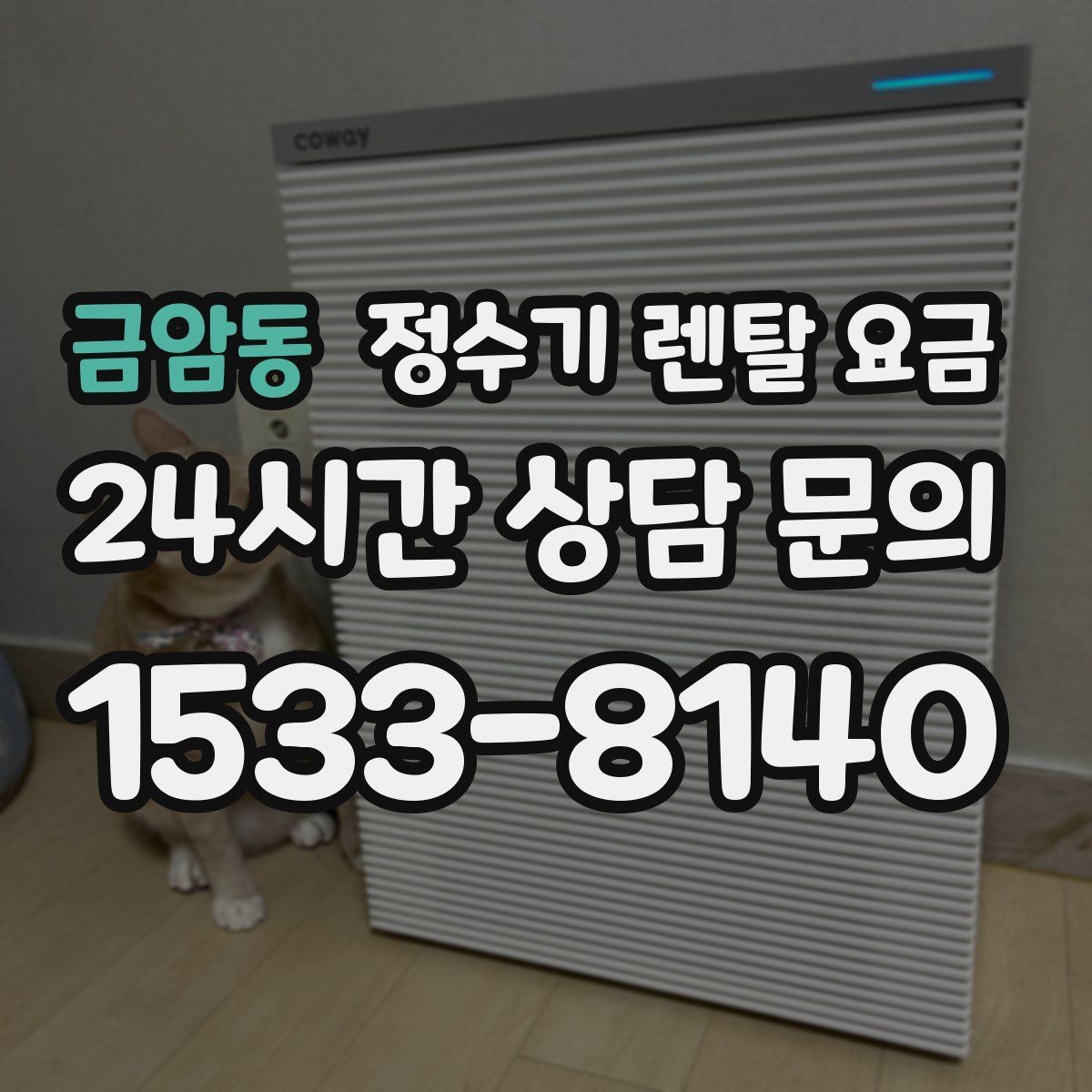 금암동 정수기 렌탈 요금 렌탈료가 싼 제품의 공통점 정리