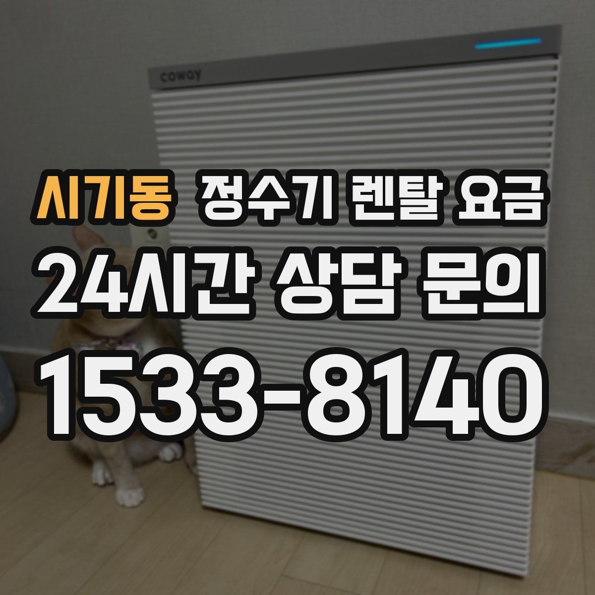 시기동 정수기 렌탈 요금