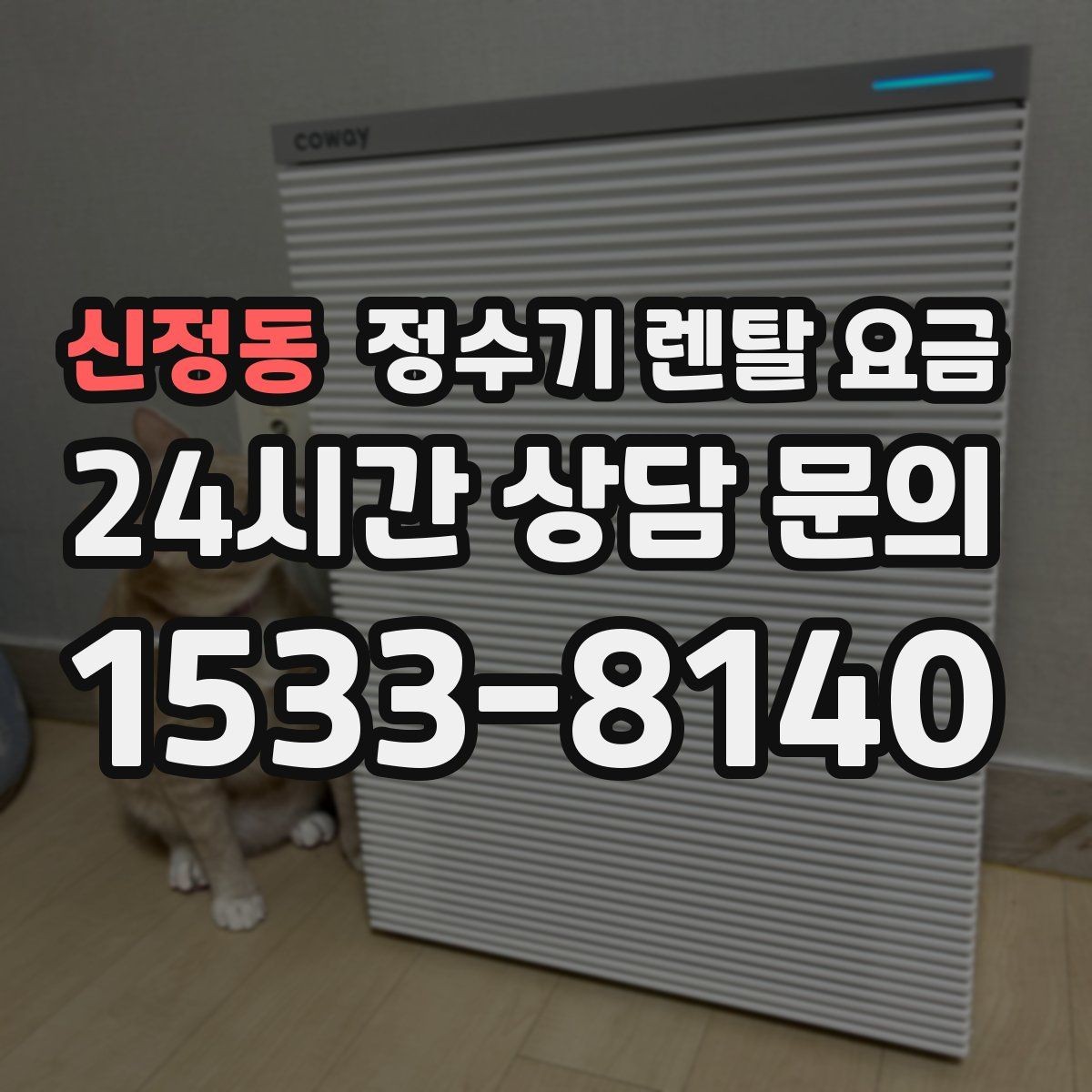 신정동 정수기 렌탈 요금 현실적인 선택을 위한 체크포인트