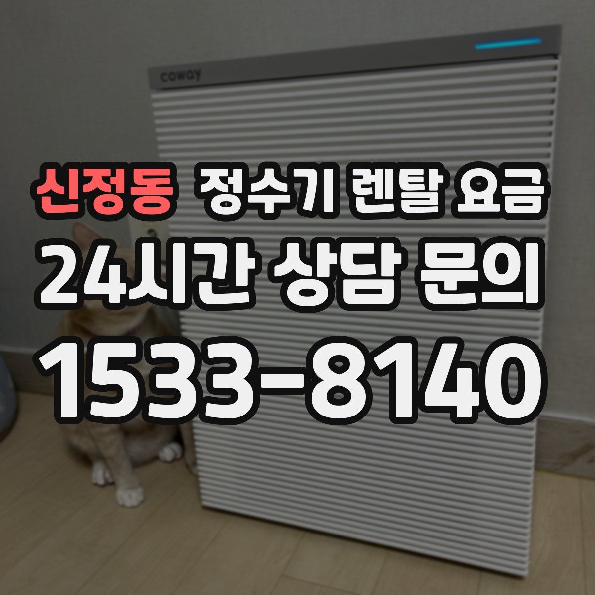 신정동 정수기 렌탈 요금