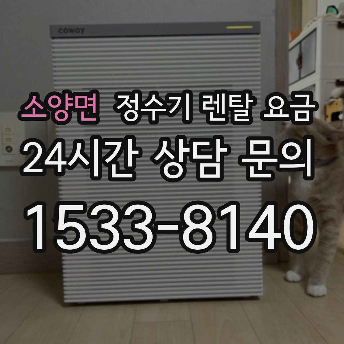 소양면 정수기 렌탈 요금 비교 시간을 줄이는 방법