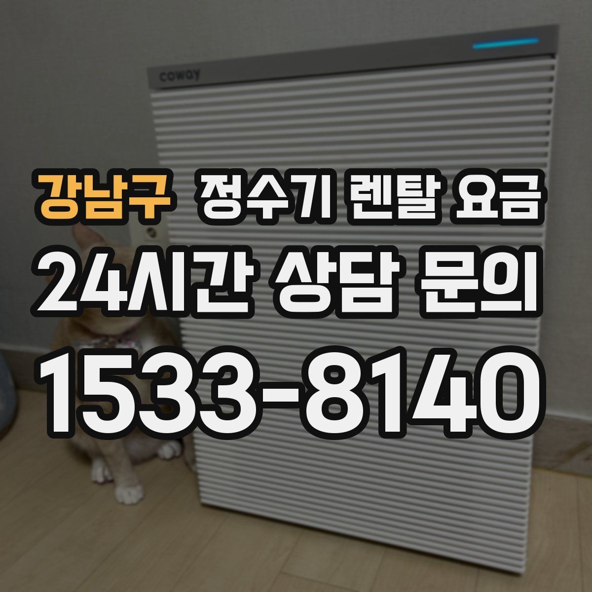 강남구 정수기 렌탈 요금 렌탈과 구매 비교 기준 정리
