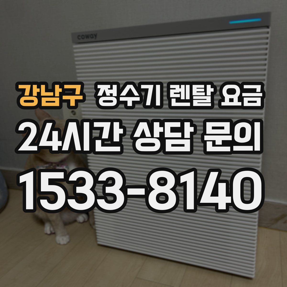 강남구 정수기 렌탈 요금