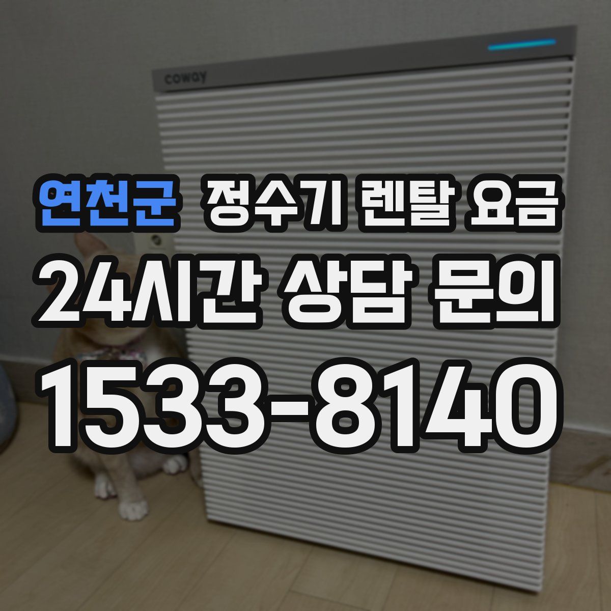 연천군 정수기 렌탈 요금