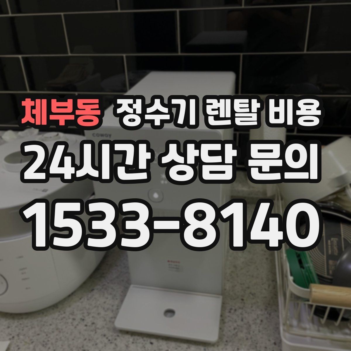 체부동 정수기 렌탈 비용 정수 전용이 더 나은 경우 정리