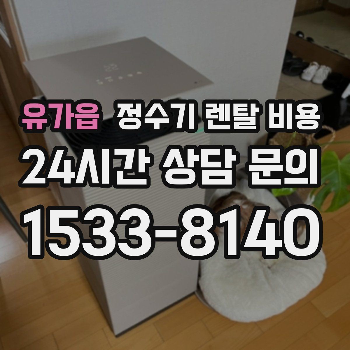유가읍 정수기 렌탈 비용 브랜드보다 먼저 봐야 할 기준