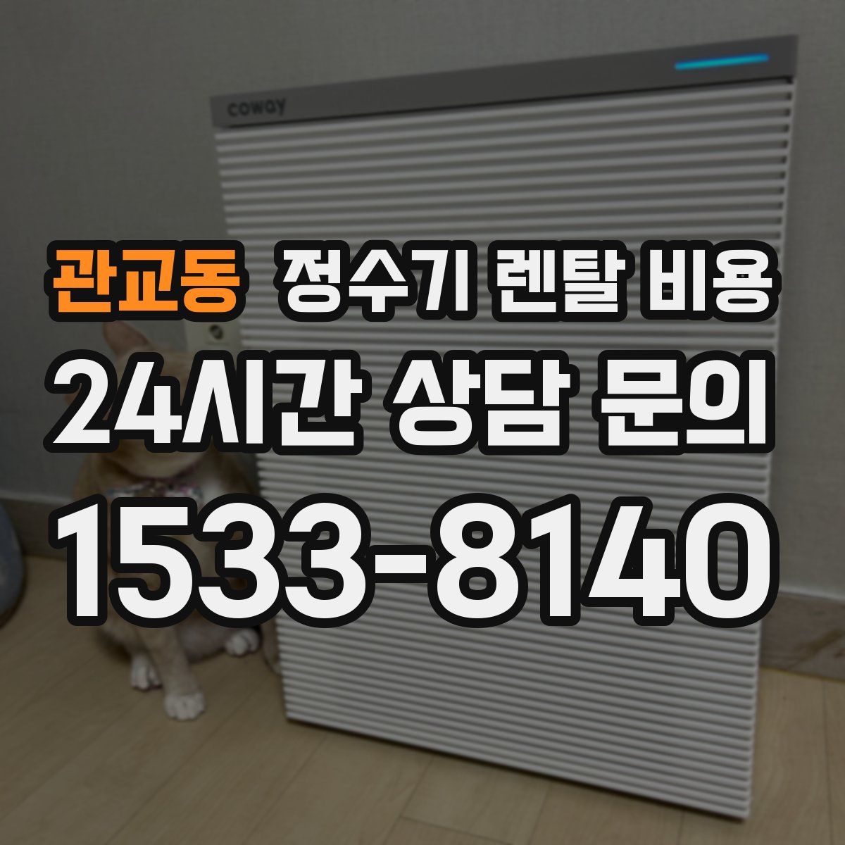 관교동 정수기 렌탈 비용