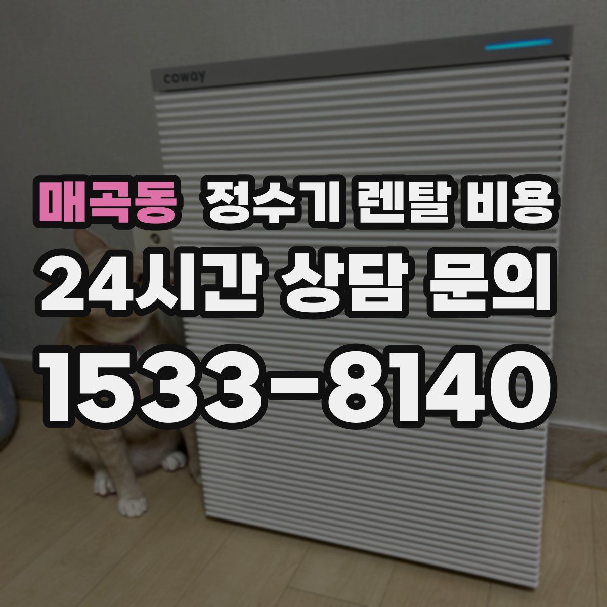 매곡동 정수기 렌탈 비용