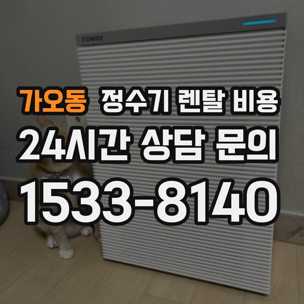 가오동 정수기 렌탈 비용