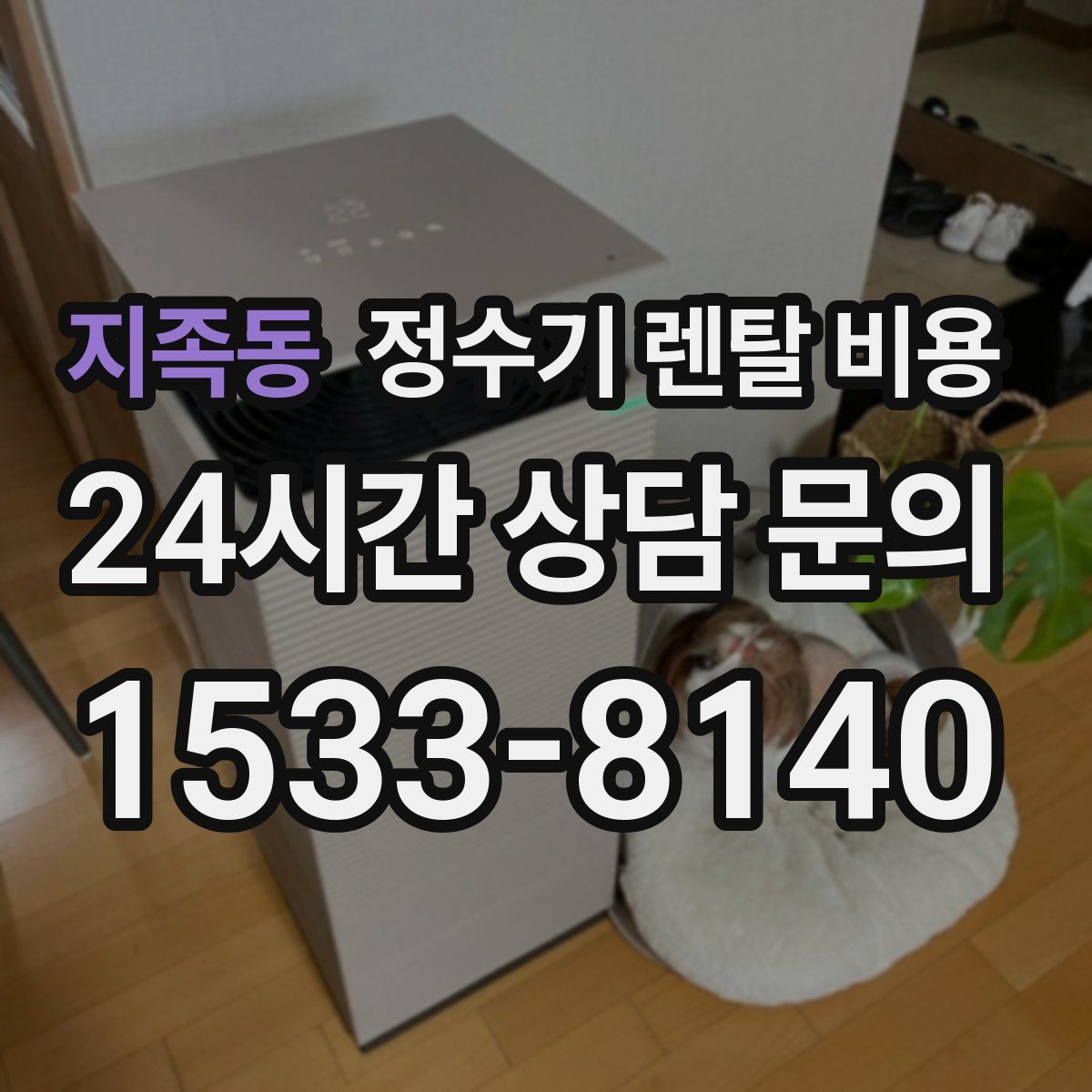 지족동 정수기 렌탈 비용