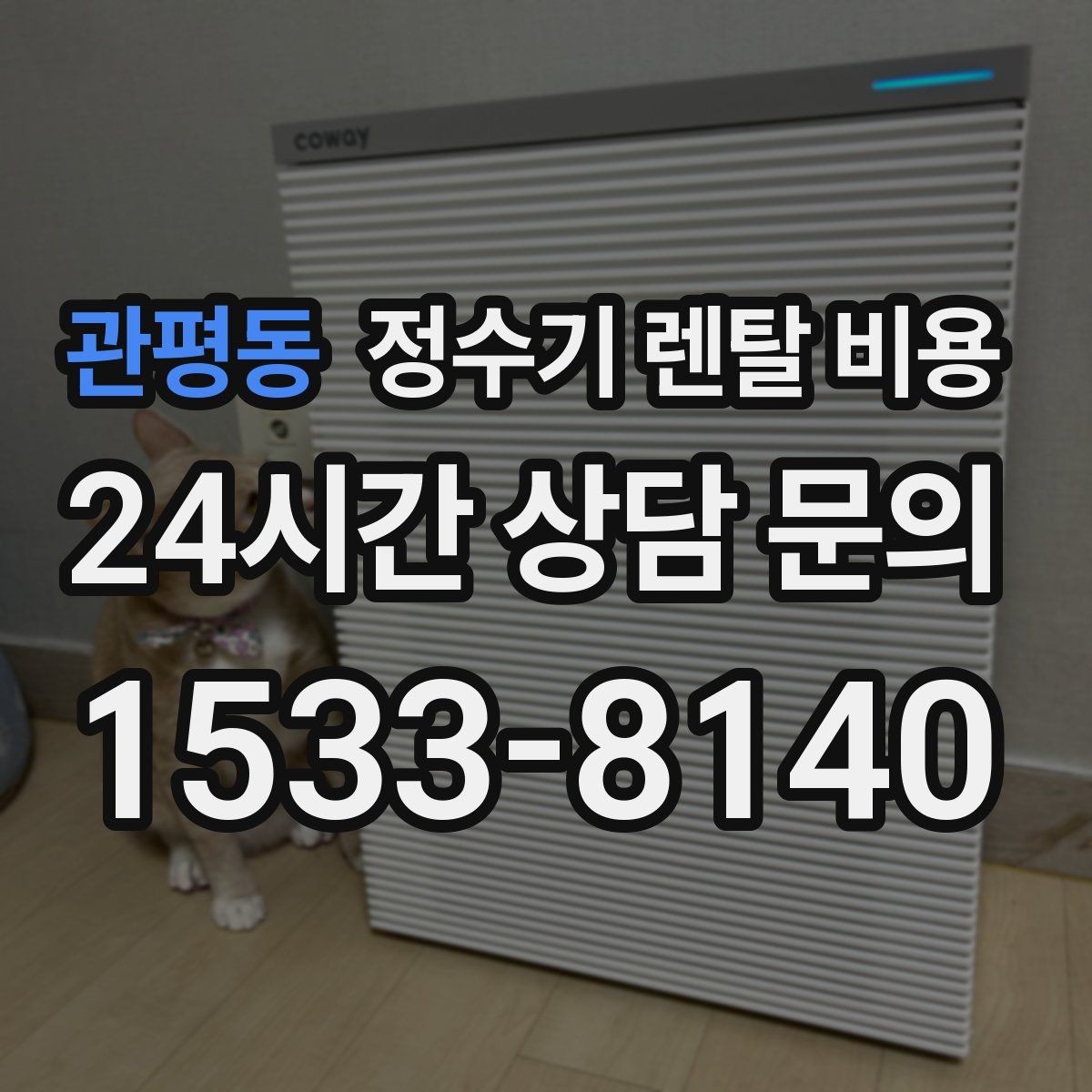 관평동 정수기 렌탈 비용 얼음 기능이 있는 모델의 특징