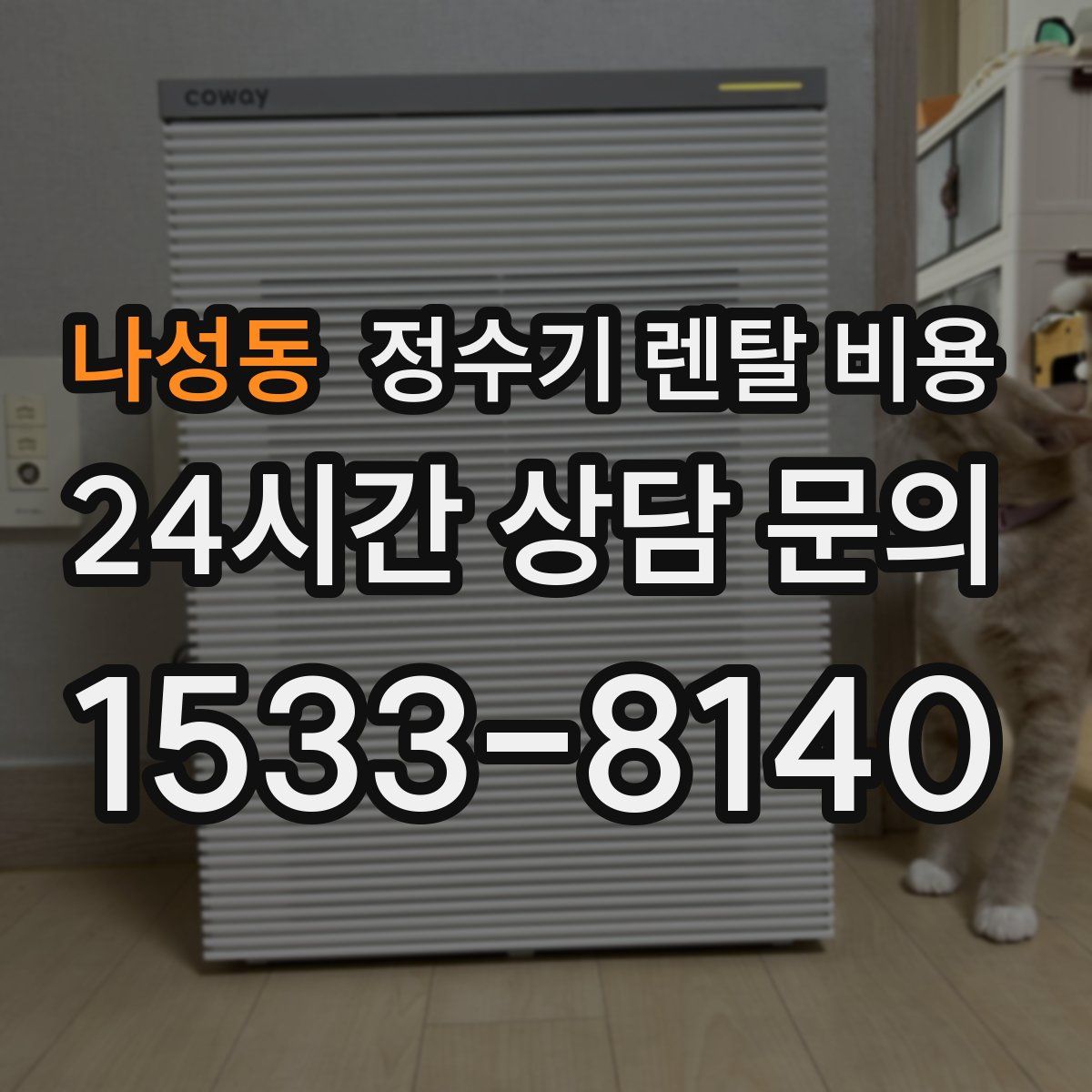 나성동 정수기 렌탈 비용