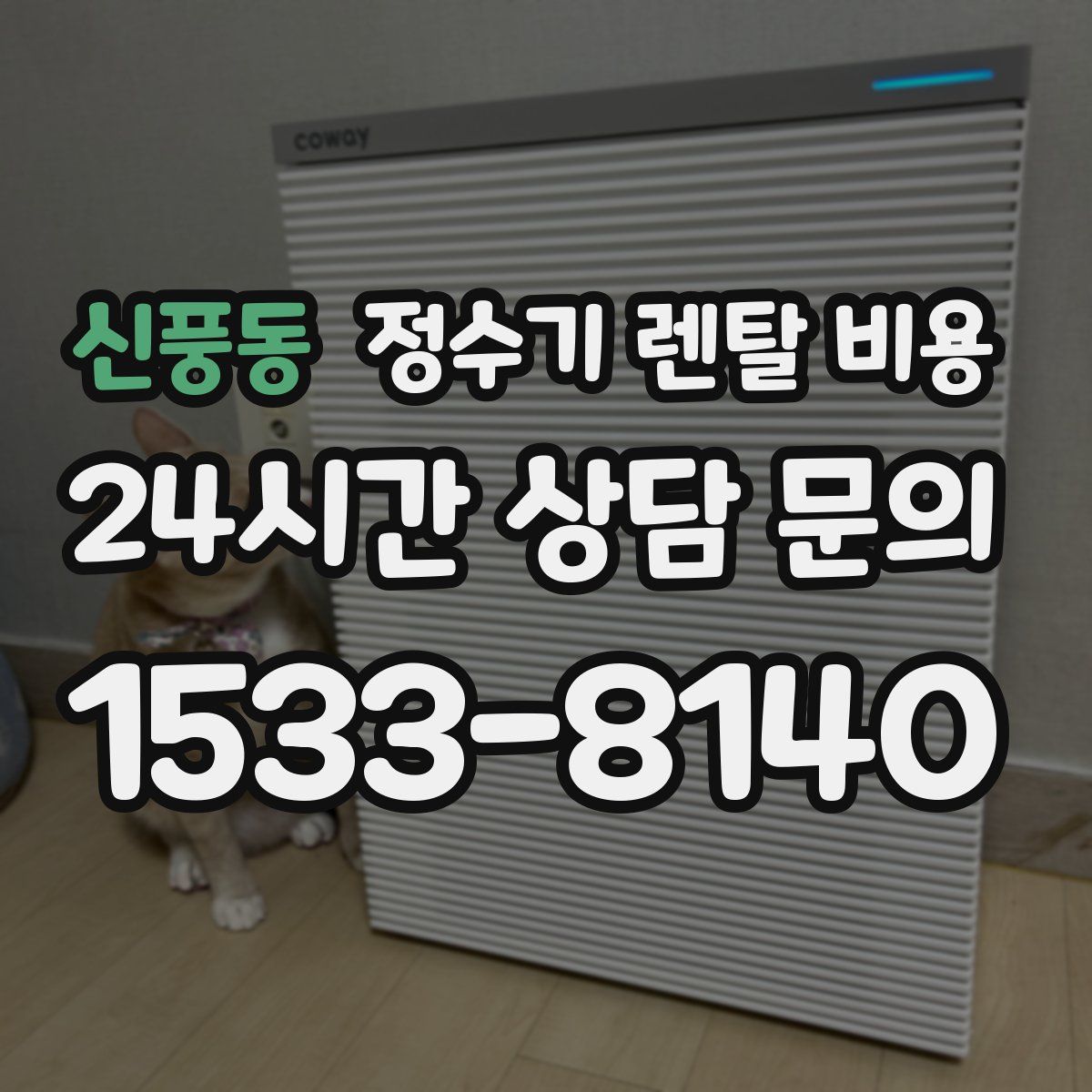 신풍동 정수기 렌탈 비용