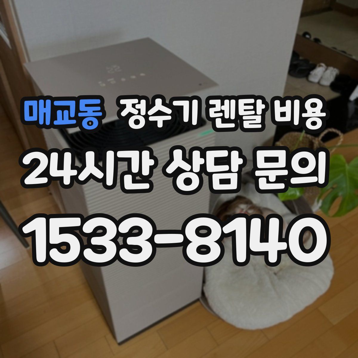 매교동 정수기 렌탈 비용