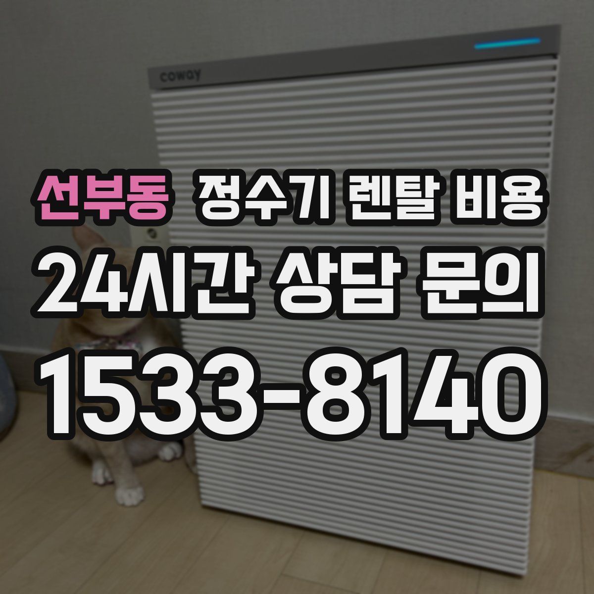 선부동 정수기 렌탈 비용