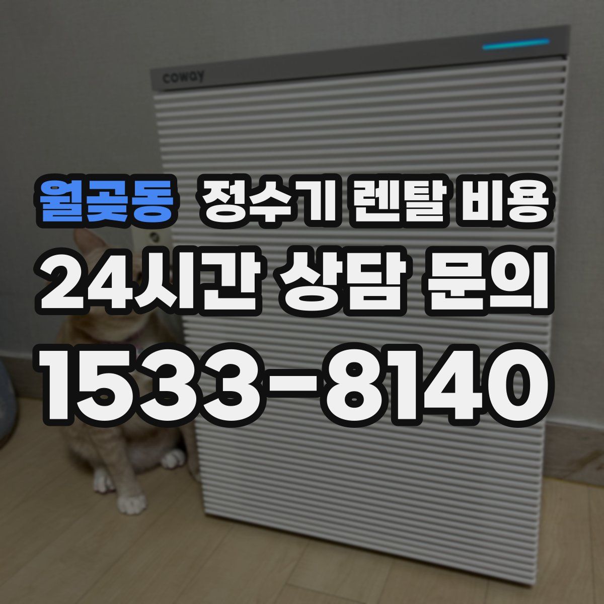 월곶동 정수기 렌탈 비용