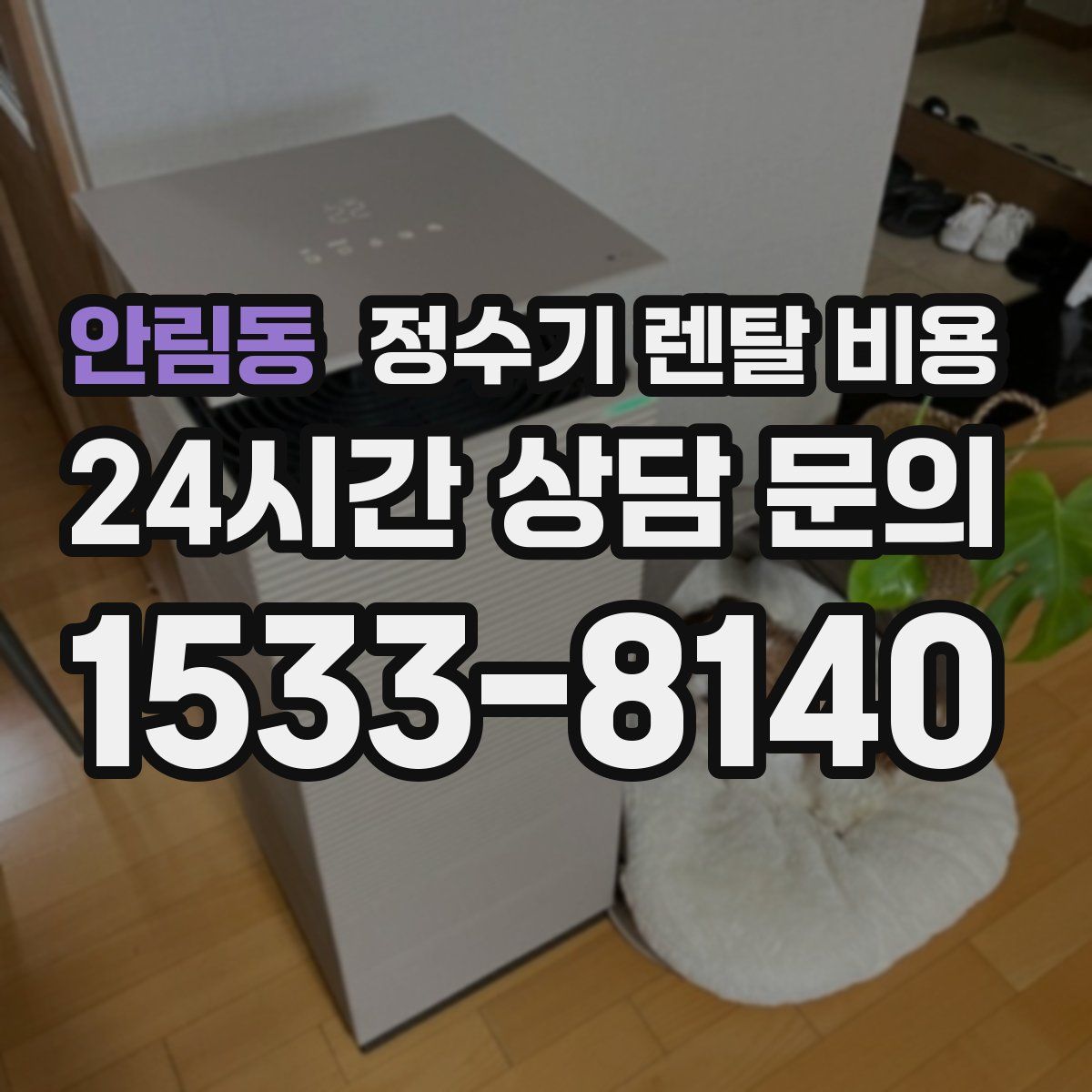 안림동 정수기 렌탈 비용