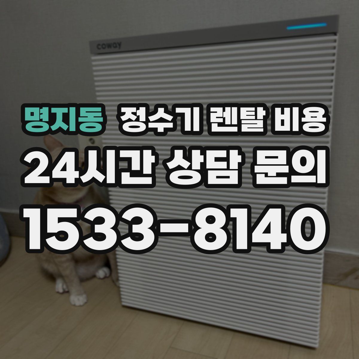 명지동 정수기 렌탈 비용