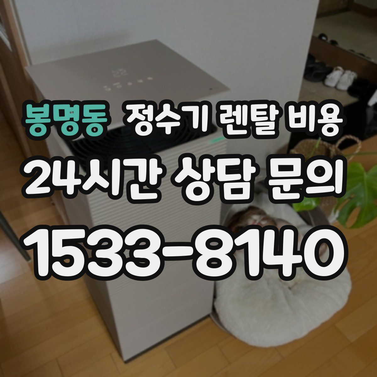 봉명동 정수기 렌탈 비용