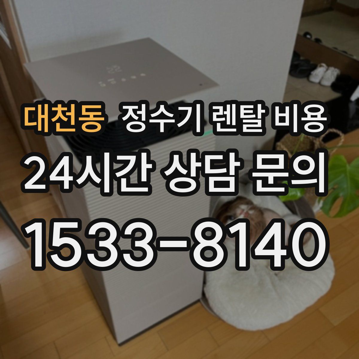 대천동 정수기 렌탈 비용