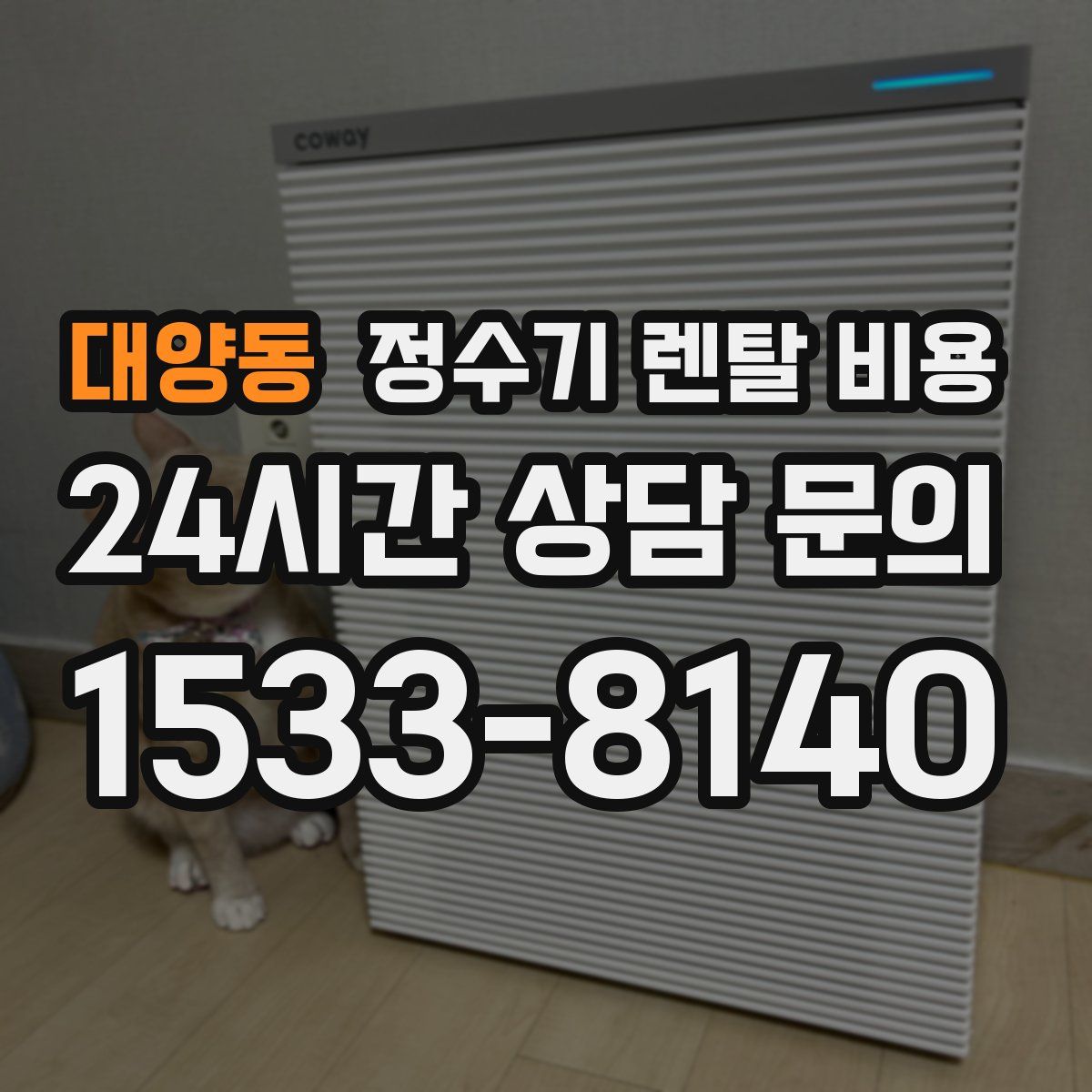 대양동 정수기 렌탈 비용