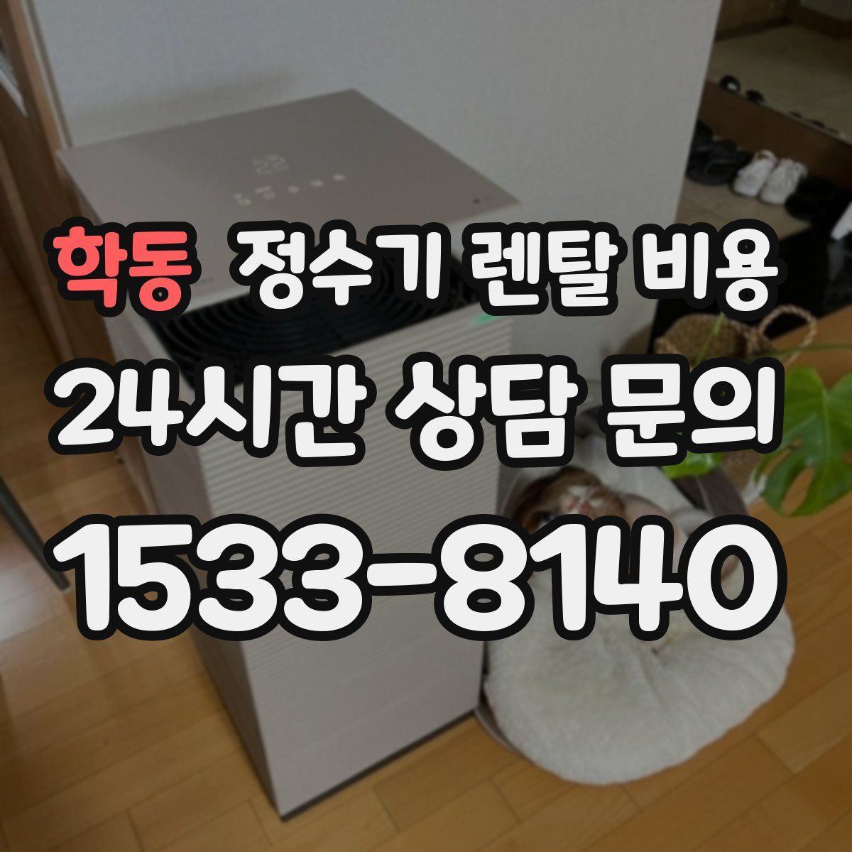 학동 정수기 렌탈 비용