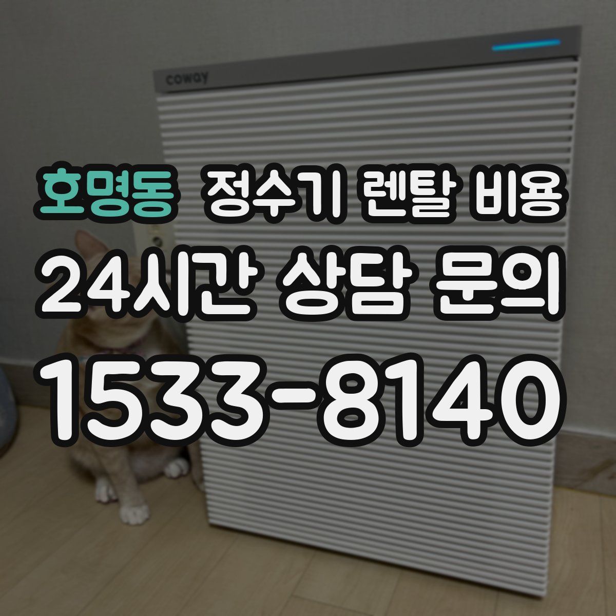 호명동 정수기 렌탈 비용