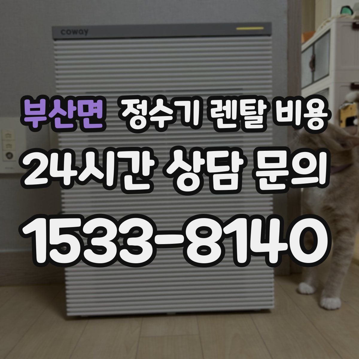 부산면 정수기 렌탈 비용