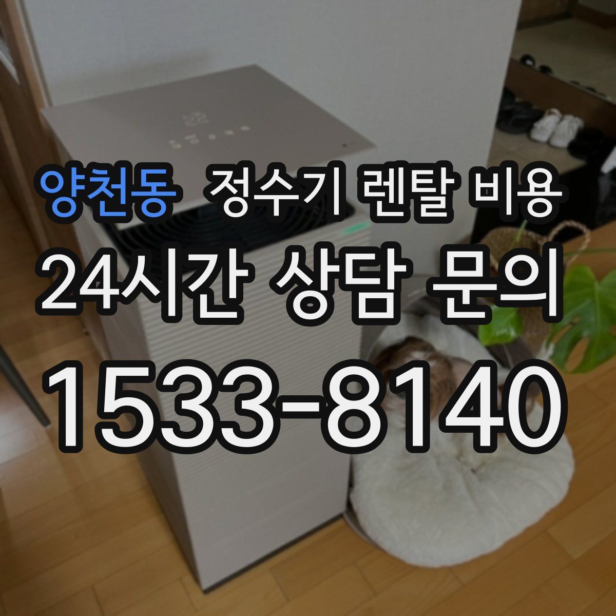 양천동 정수기 렌탈 비용