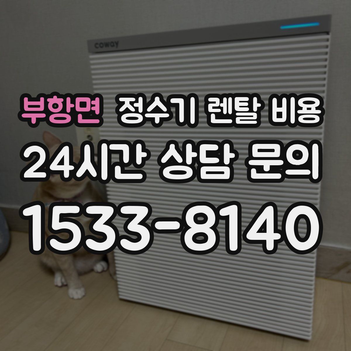 부항면 정수기 렌탈 비용