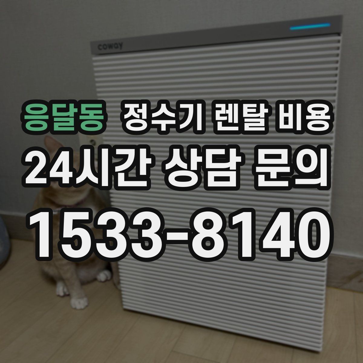 응달동 정수기 렌탈 비용 처음부터 끝까지 정리해보기