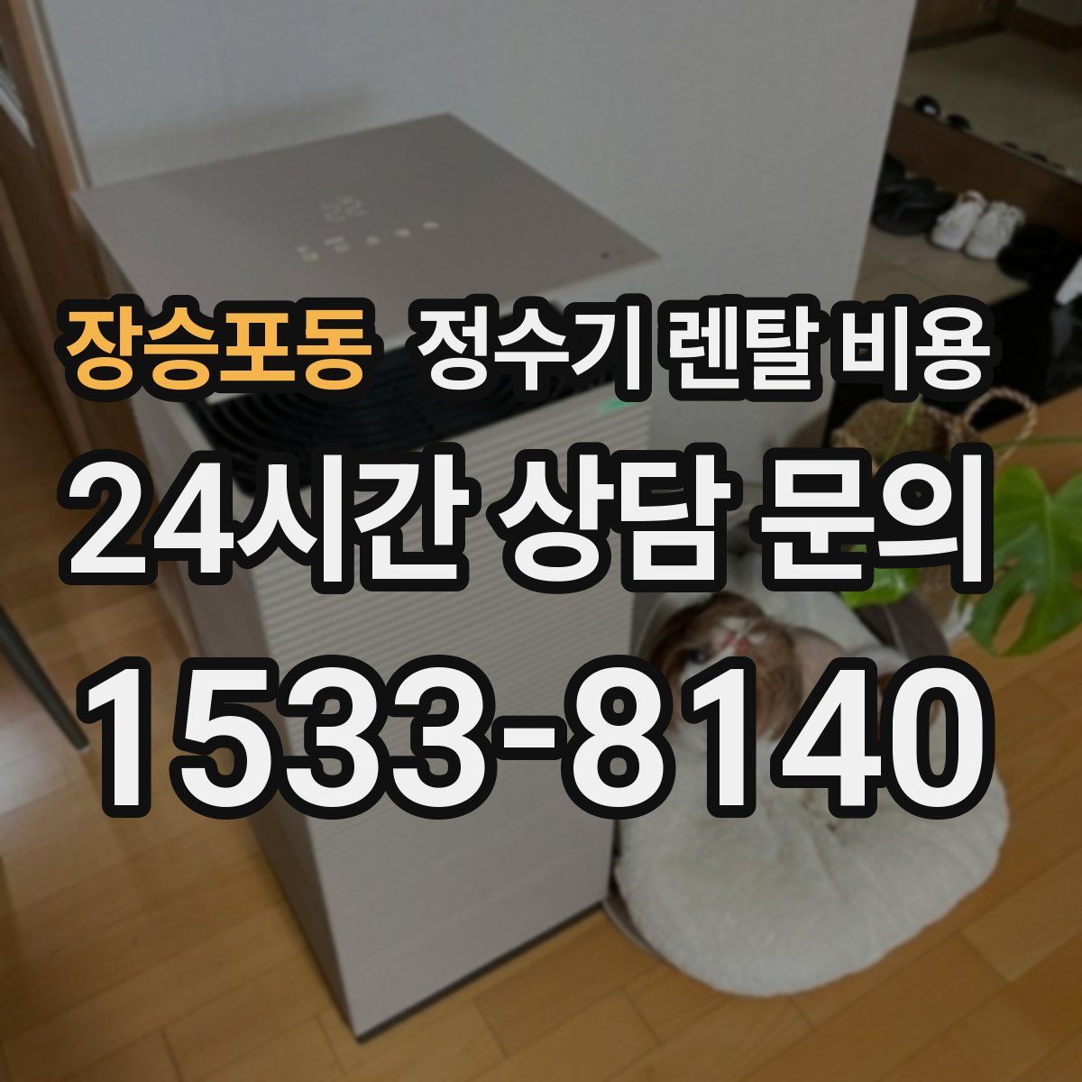 장승포동 정수기 렌탈 비용