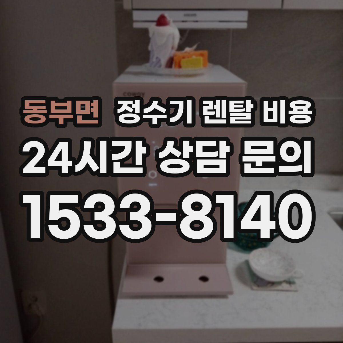 동부면 정수기 렌탈 비용