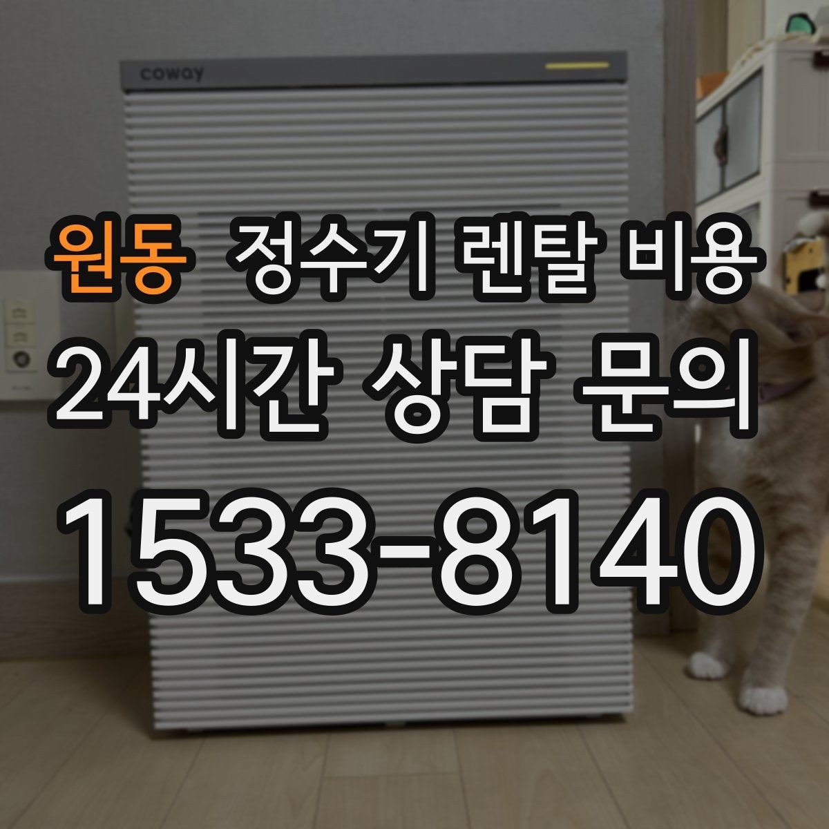 원동 정수기 렌탈 비용 브랜드 변경을 고민할 때 체크할 포인트