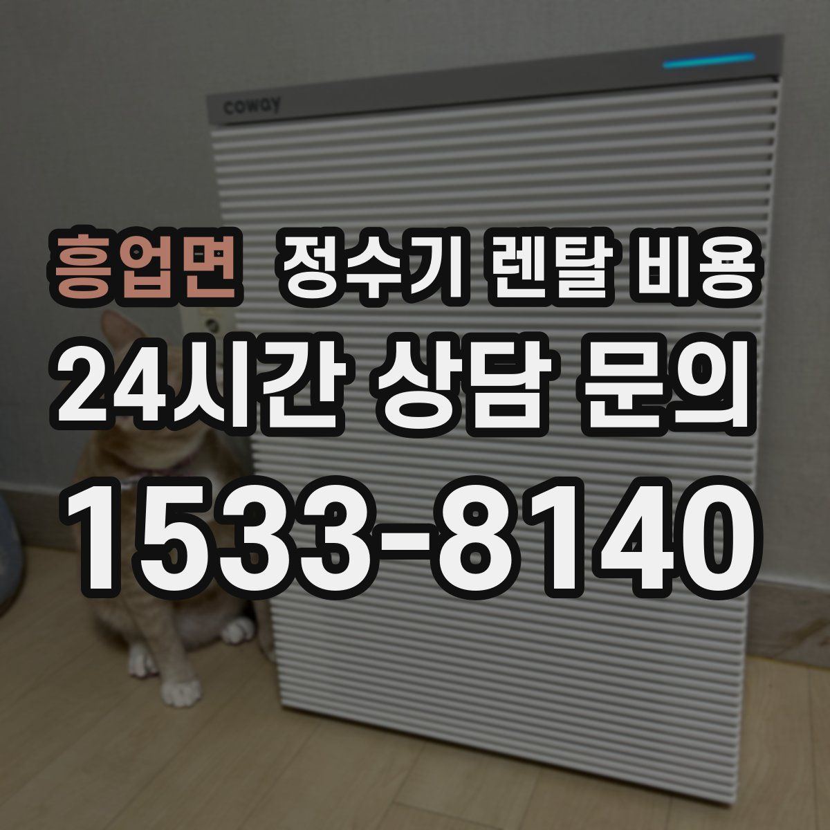 흥업면 정수기 렌탈 비용