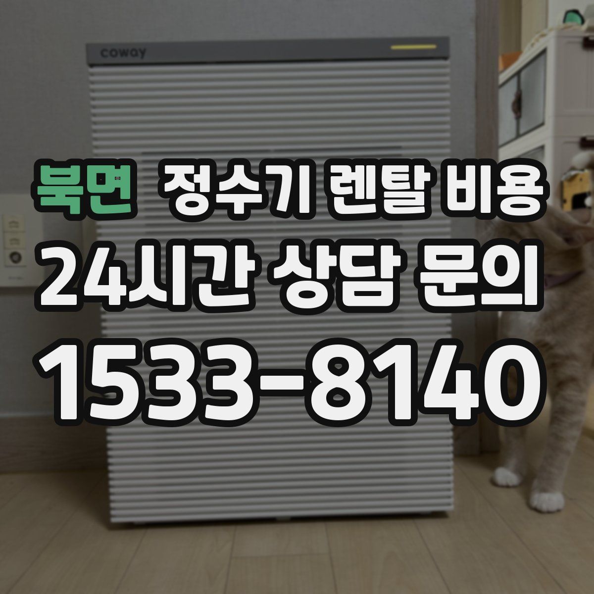 북면 정수기 렌탈 비용