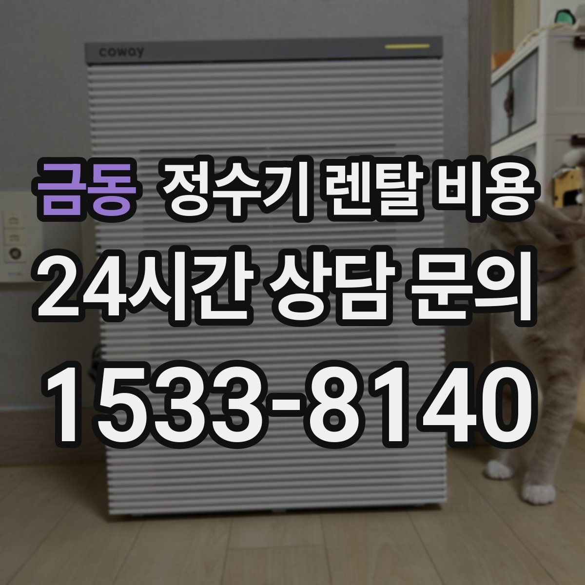 금동 정수기 렌탈 비용