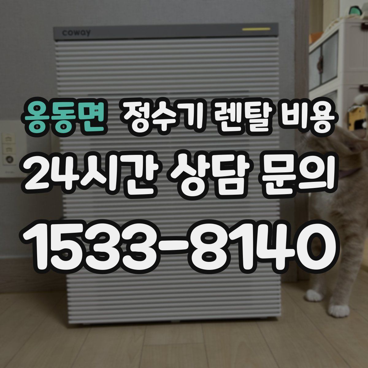 옹동면 정수기 렌탈 비용