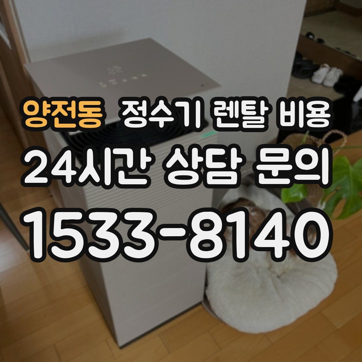 양전동 정수기 렌탈 비용 방문 점검 서비스가 필요한 집의 특징