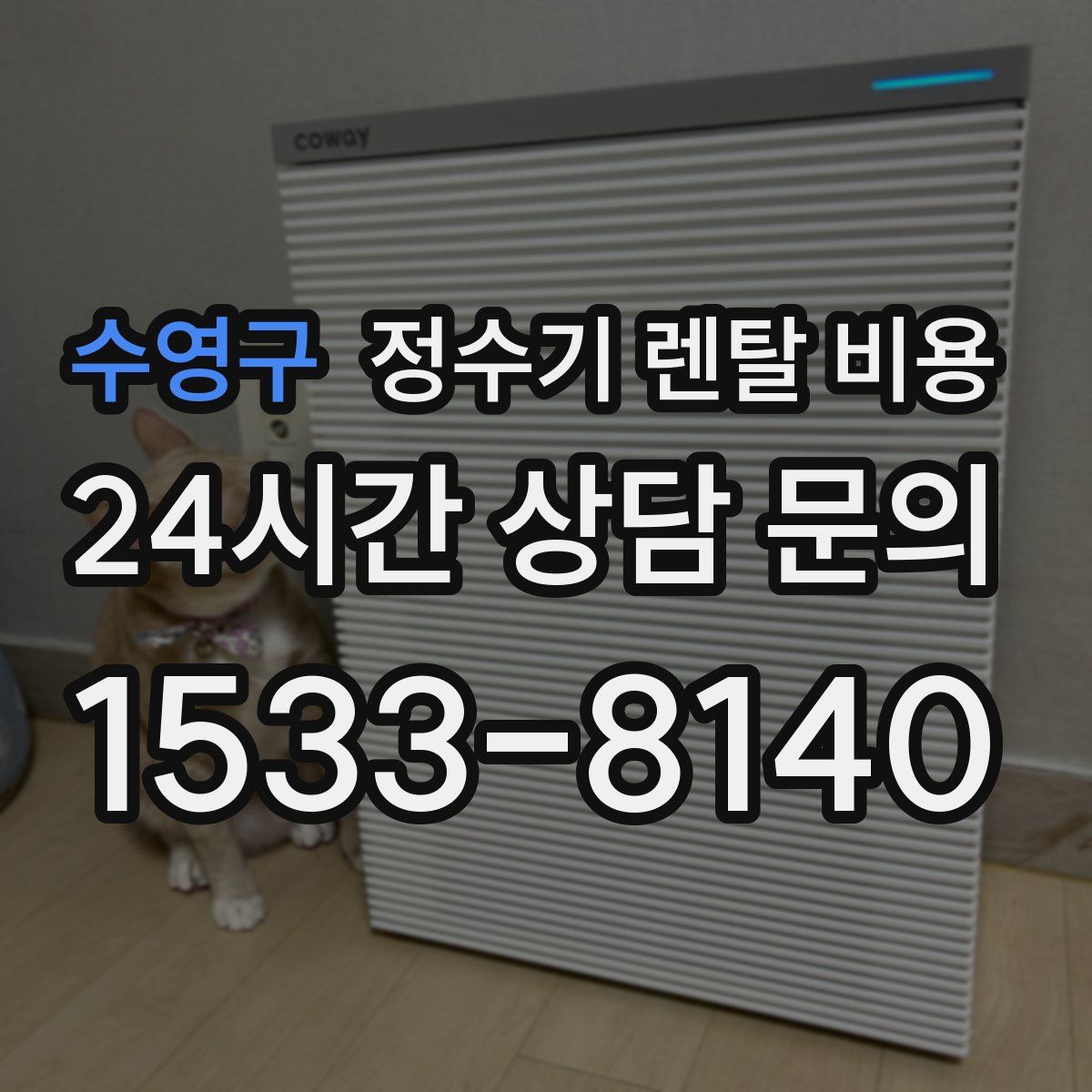 수영구 정수기 렌탈 비용