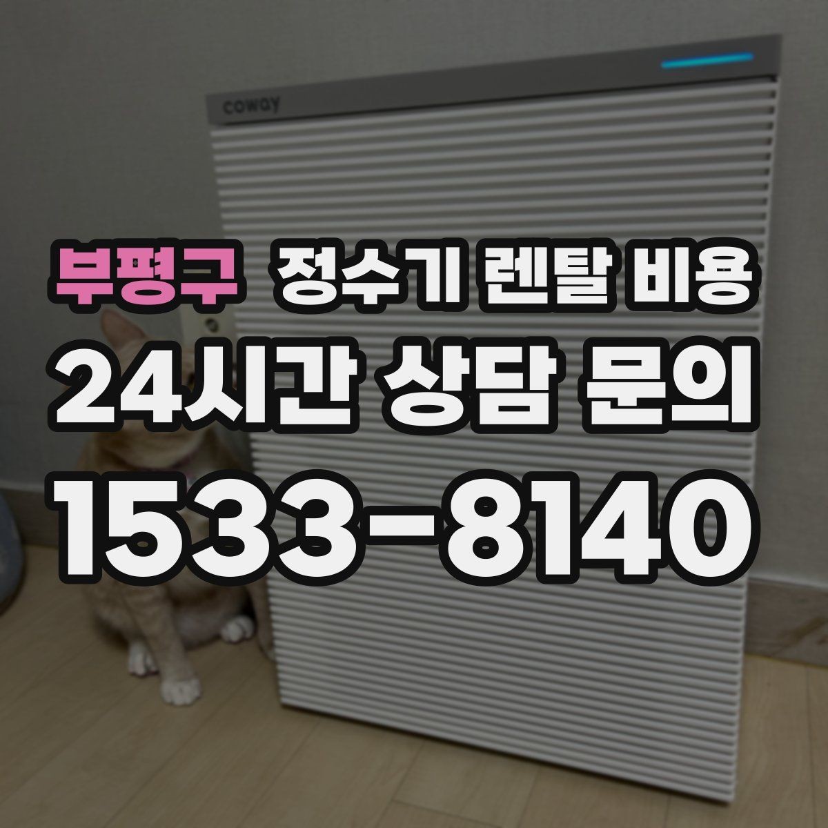 부평구 정수기 렌탈 비용 렌탈에서 구매 전환을 고민할 때