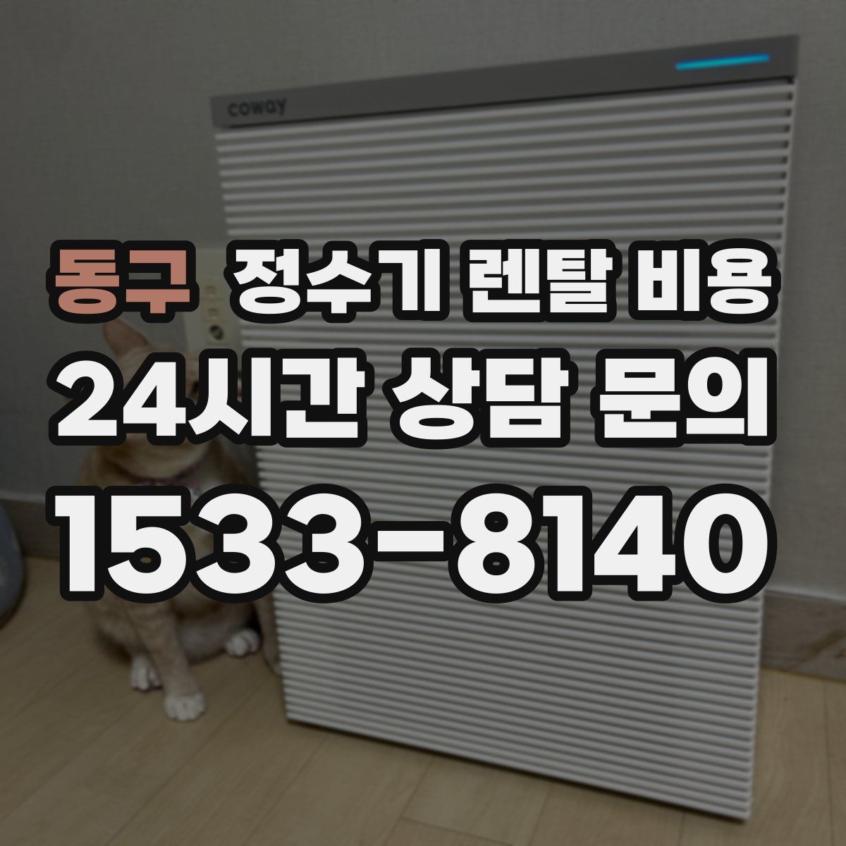 동구 정수기 렌탈 비용