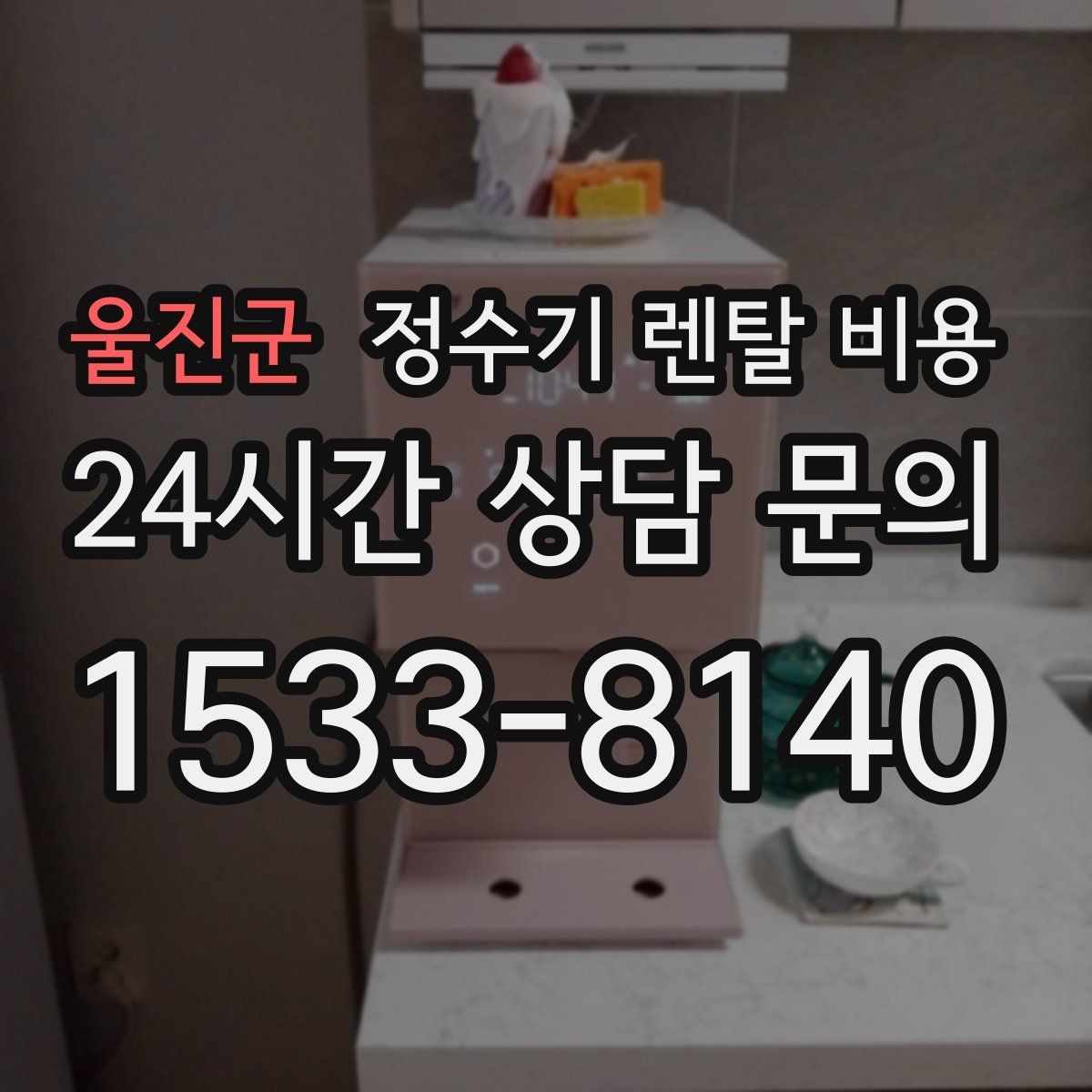 울진군 정수기 렌탈 비용 보급형으로도 충분한 집의 특징