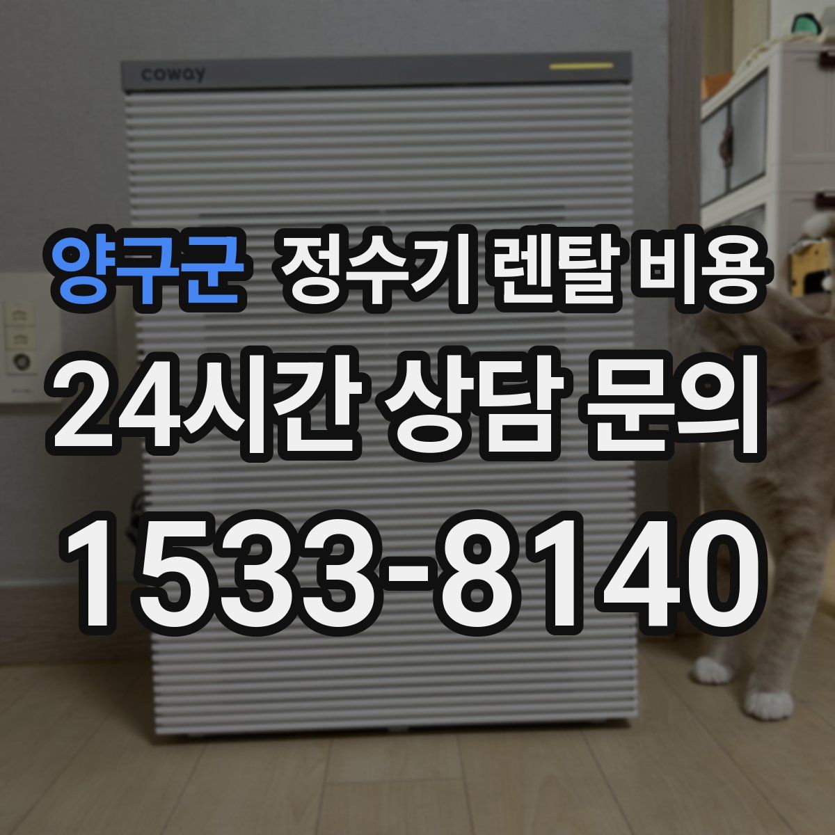 양구군 정수기 렌탈 비용