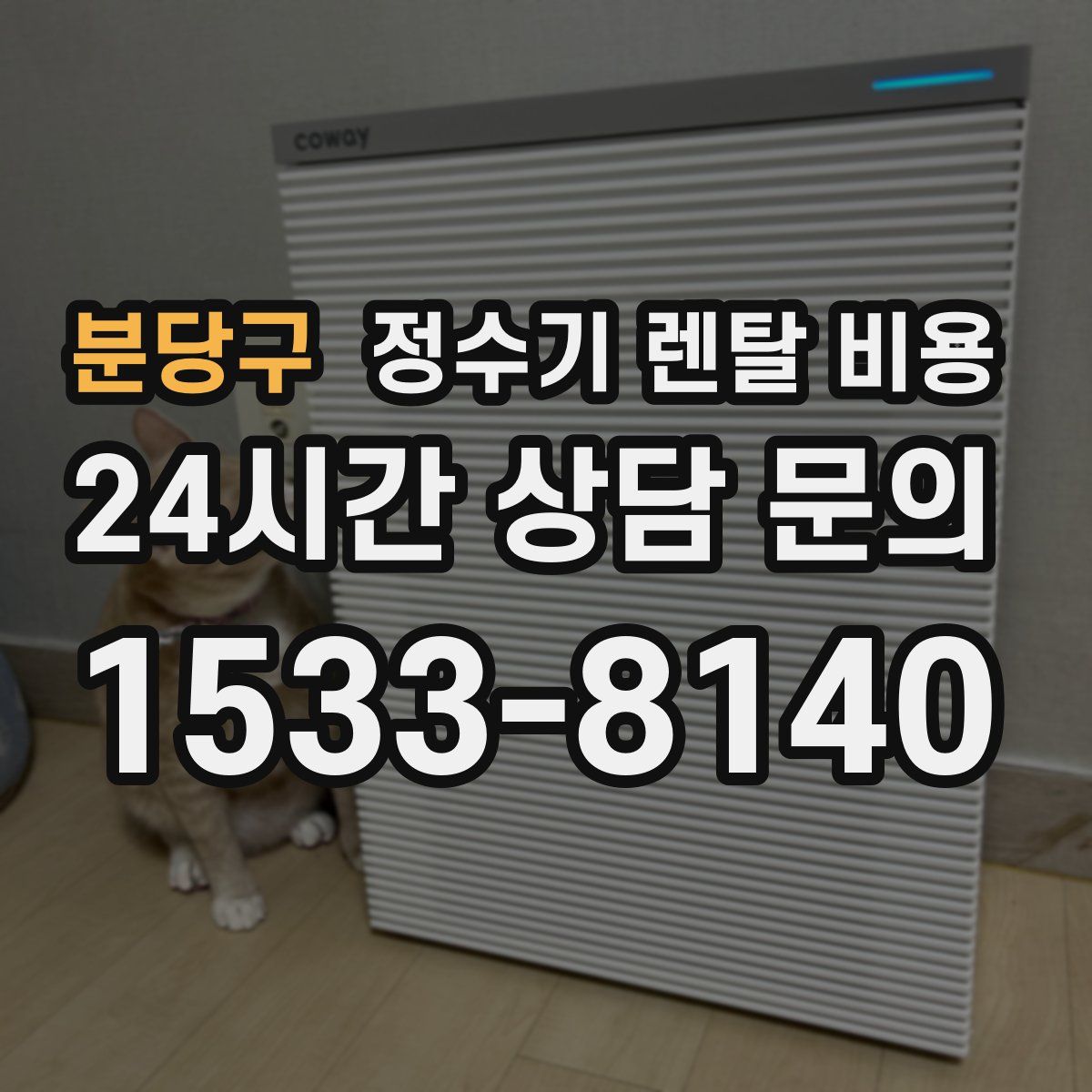 분당구 정수기 렌탈 비용