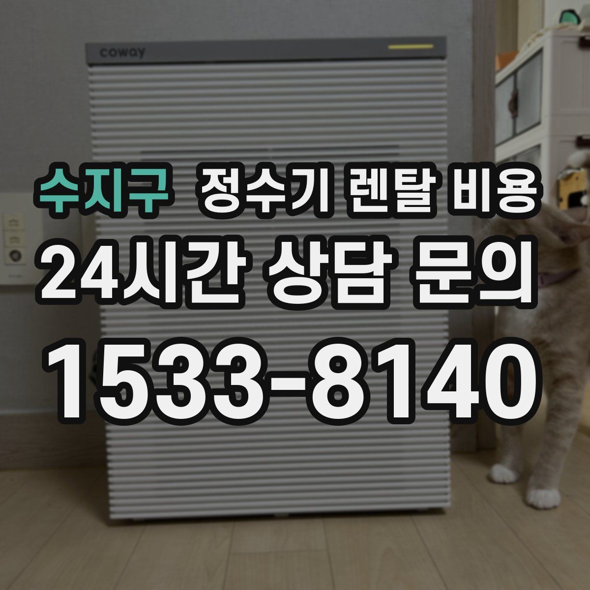 수지구 정수기 렌탈 비용