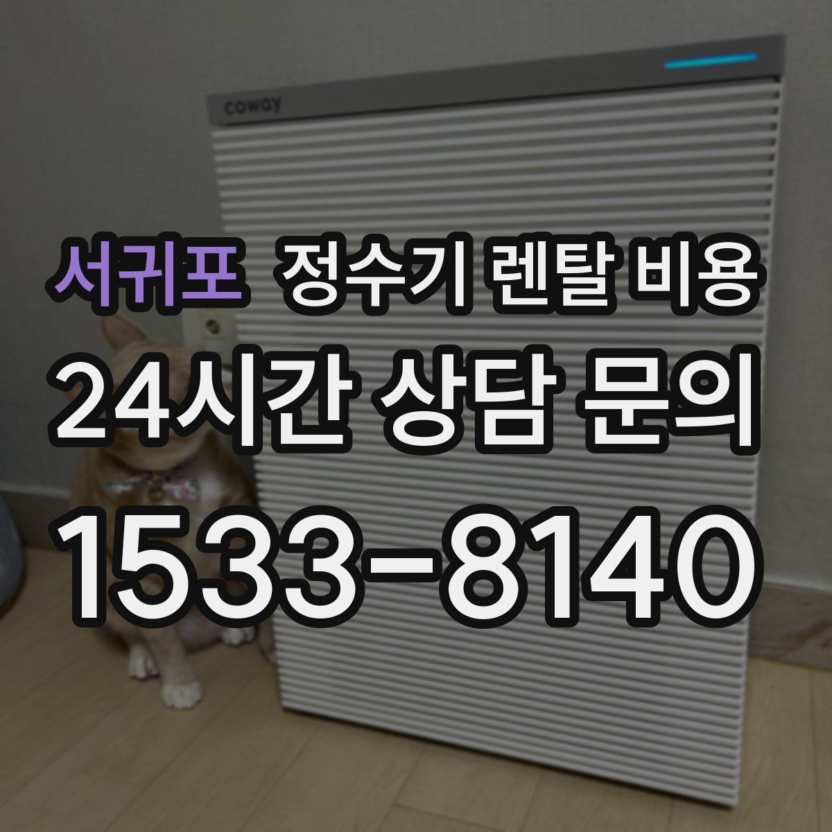 서귀포 정수기 렌탈 비용 실사용 중심으로 비교하는 방법