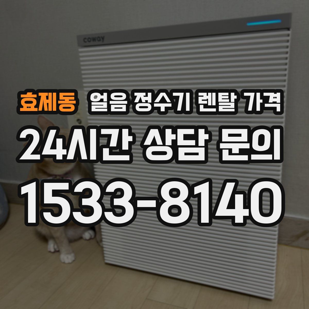 효제동 얼음 정수기 렌탈 가격