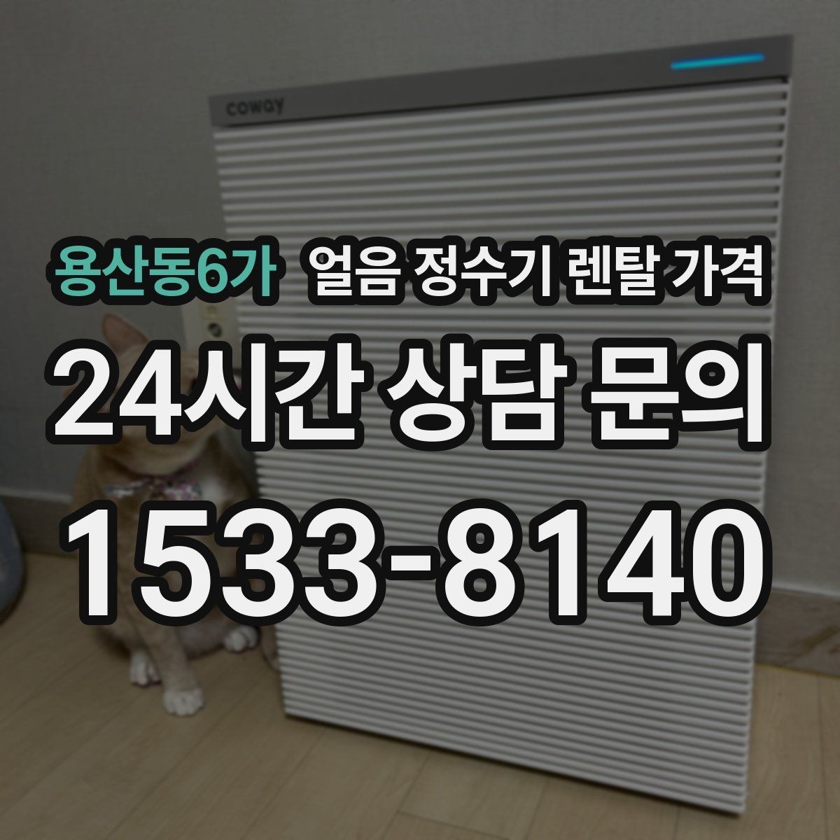 용산동6가 얼음 정수기 렌탈 가격 설치 위치에 따라 달라지는 만족도