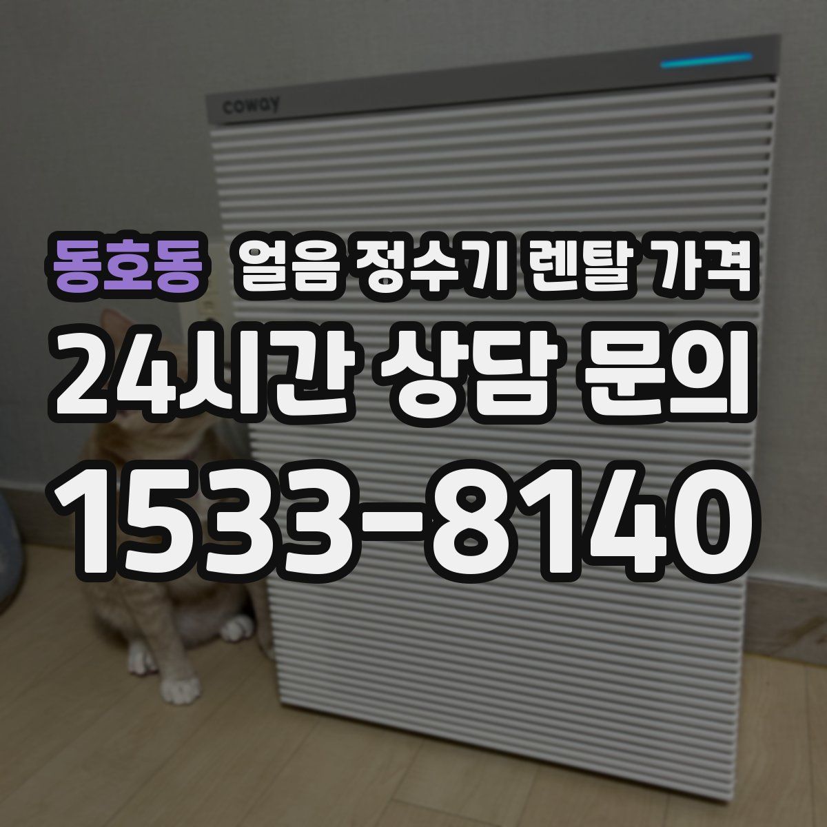 동호동 얼음 정수기 렌탈 가격